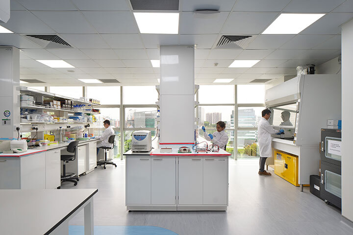 Node1 Shared Labs